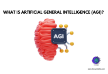 Artificial General Intelligence (AGI)