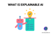 Explainable AI