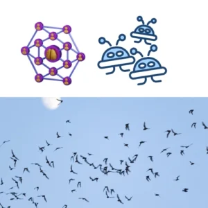 swarm intelligence