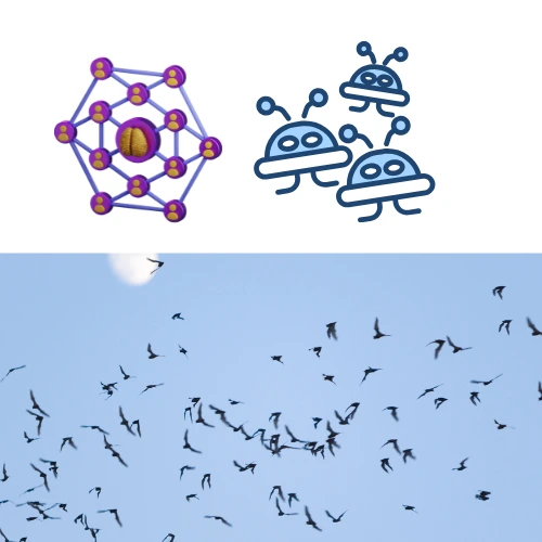 swarm intelligence